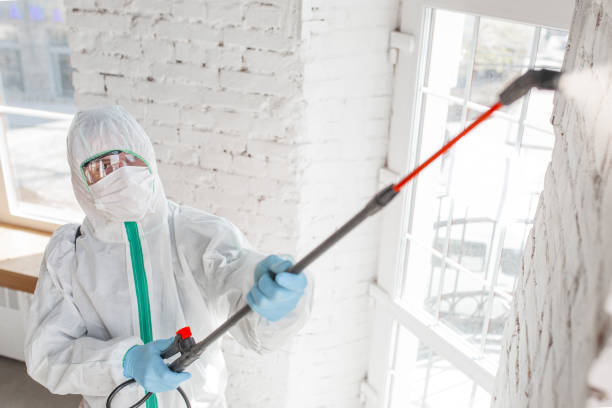 Best Mold Prevention Services  in Nevada, IA