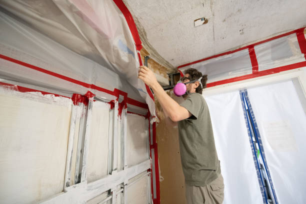 Best Mold Removal for HVAC Installations  in Nevada, IA