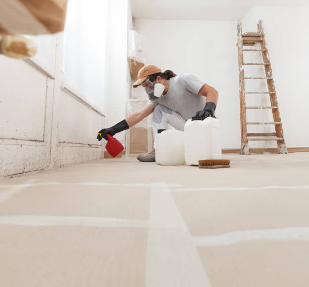 Best Attic Mold Removal  in Nevada, IA